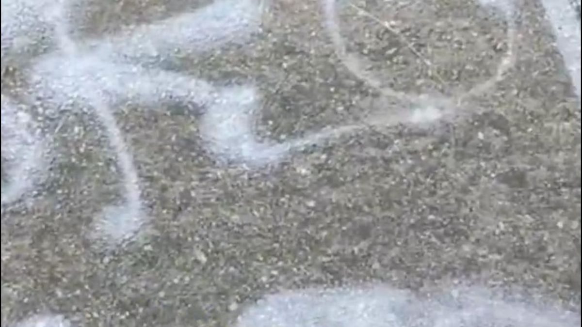 "Rojo y cabrón": el PSOE denuncia pintadas y amenazas de muerte contra socialistas un pueblo de Zamora