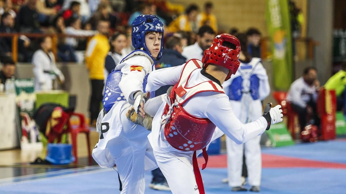 Open internacional de Andalucía de Taekwondo y Copa Iberdrola