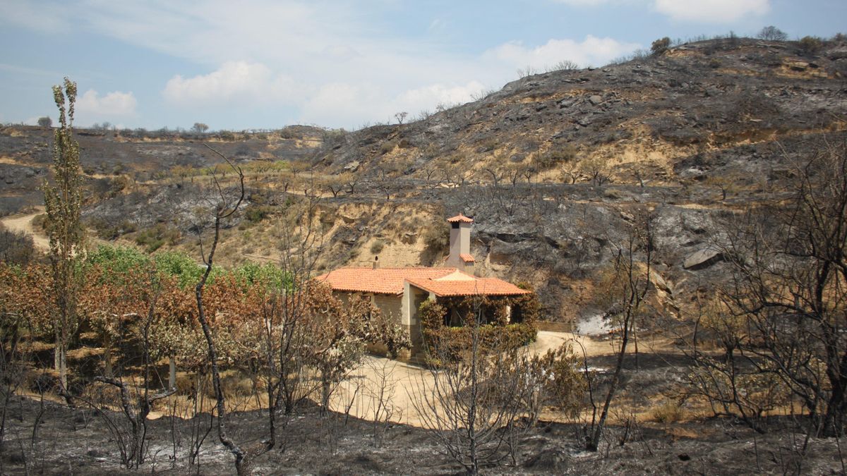 En imágenes | Las huellas del incendio de las Cinco Villas
