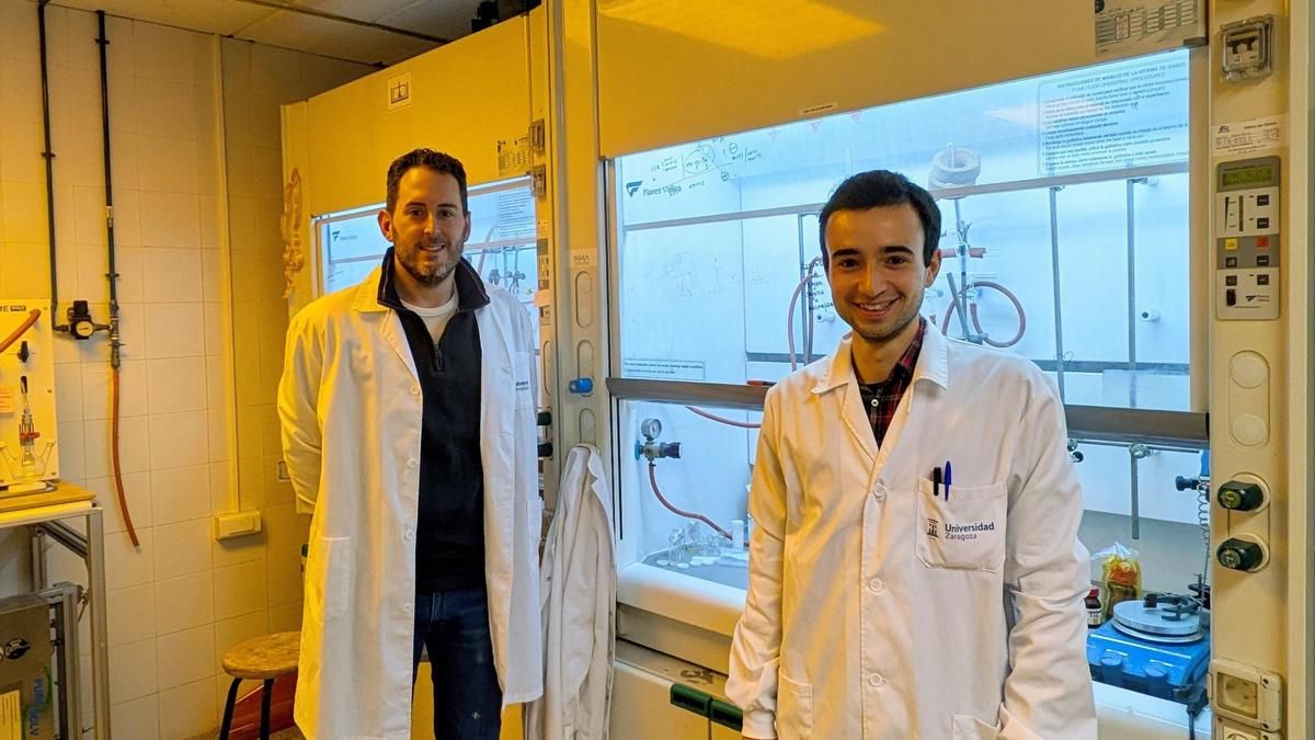 Investigadores aragoneses del INMA desarrollan un sensor portátil capaz de detectar la salmonella en una hora