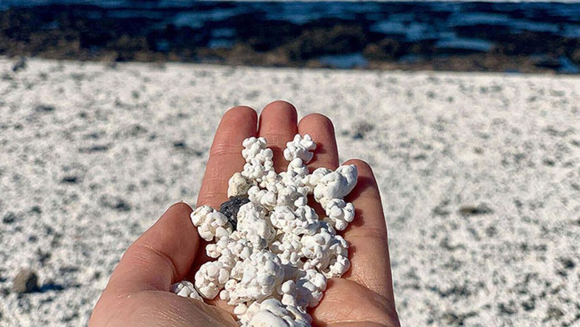 La Consejería de Sostenibilidad Medioambiental recuerda la prohibición de estas acciones, que son tipificadas como infracciones y acarrean sanciones