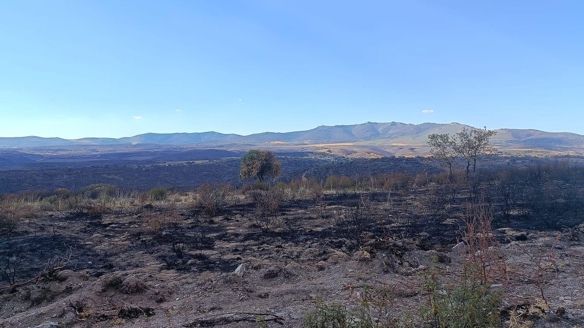 El entorno de la casa rural de Isabelle Bancheraud, el pasado 15 de septiembre.