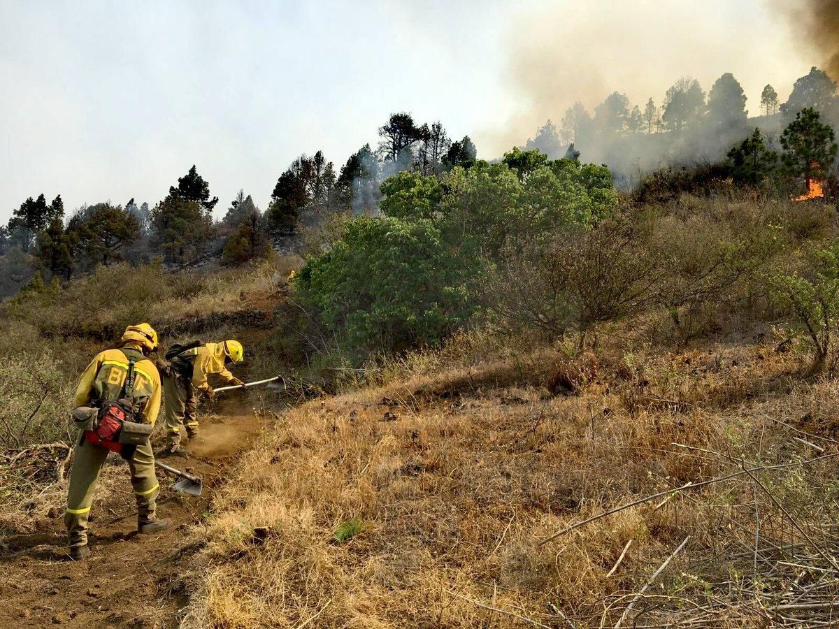 Incendio en El Paso en La Palma @AT_Brif