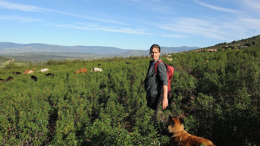 Clara Benito, la cabrera ecológica que cuida a su rebaño desde el móvil: "El telepastoreo me ha cambiado la vida"
