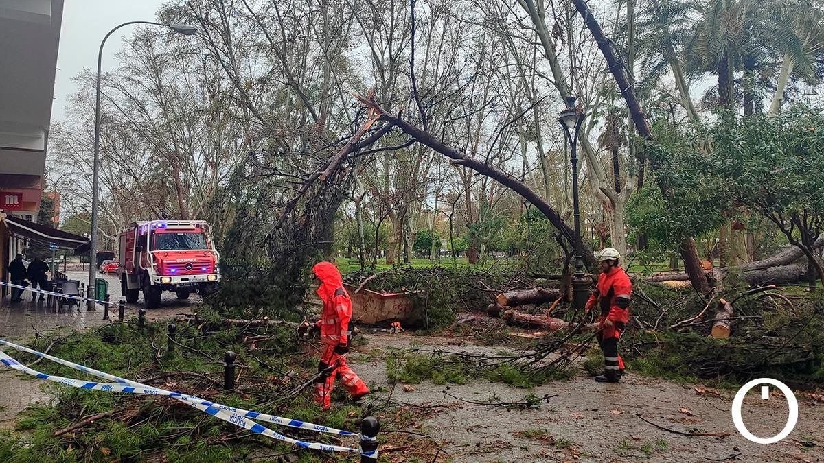 Los efectos del viento y la lluvia en Córdoba