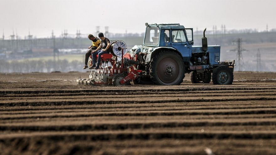 Agricultores en una parcela en Odesa, en una imagen de archivo. EFE/Manuel Bruque