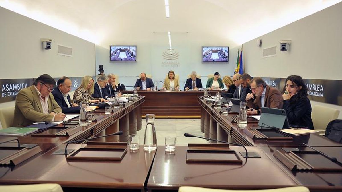 Integrantes de la comisión de investigación sobre el regadío de Tierra de Barros, que ha comenzado este martes en la Asamblea de Extremadura