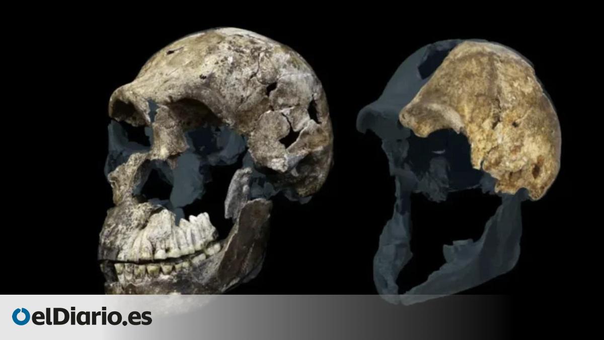 El Homo naledi suma un nuevo misterio: los últimos hallazgos solo identifican restos de mujeres