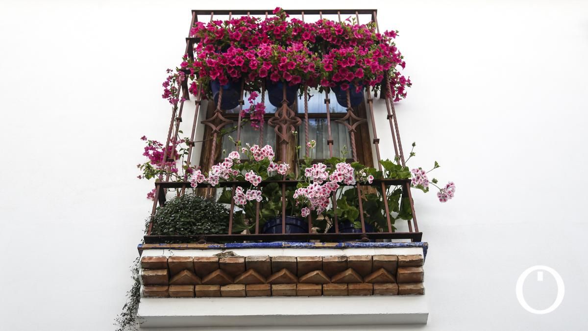 Rejas y Balcones en la C/ Pastora, 2