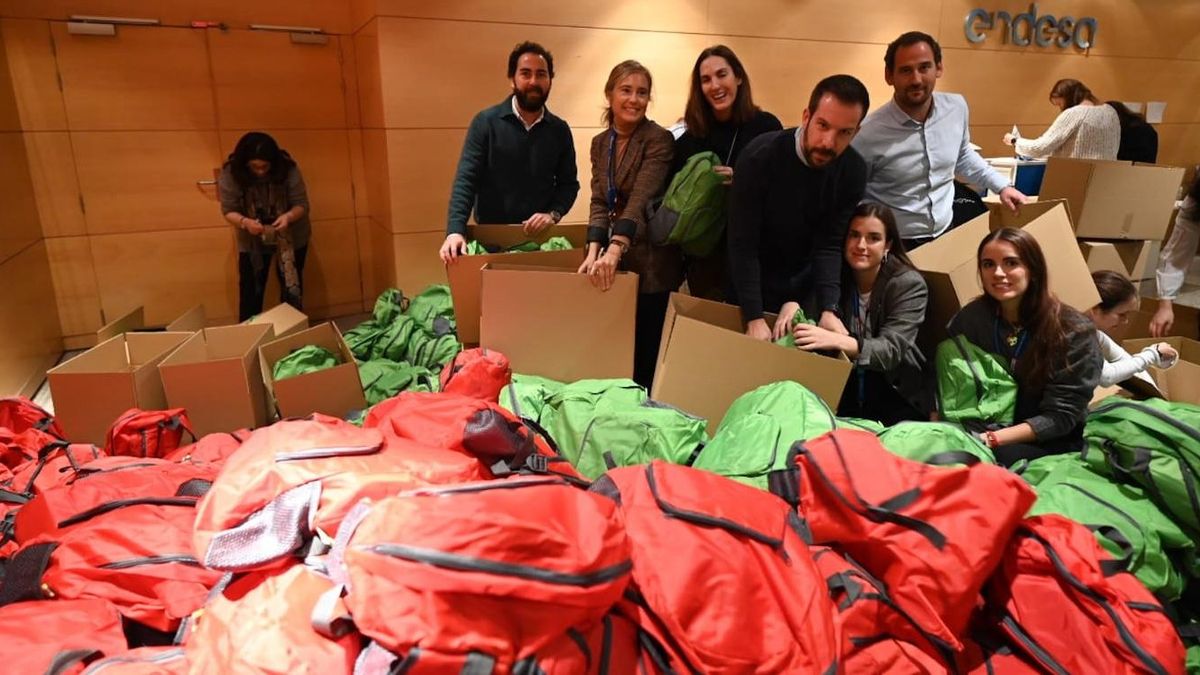 Endesa lanza un fondo de ayuda a los damnificados por la DANA de un millón, condona facturas y moviliza empleados de toda España.