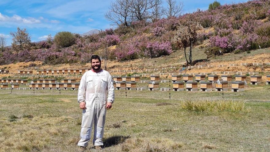 La Abiejina del Monte colmenar Villamorisca.