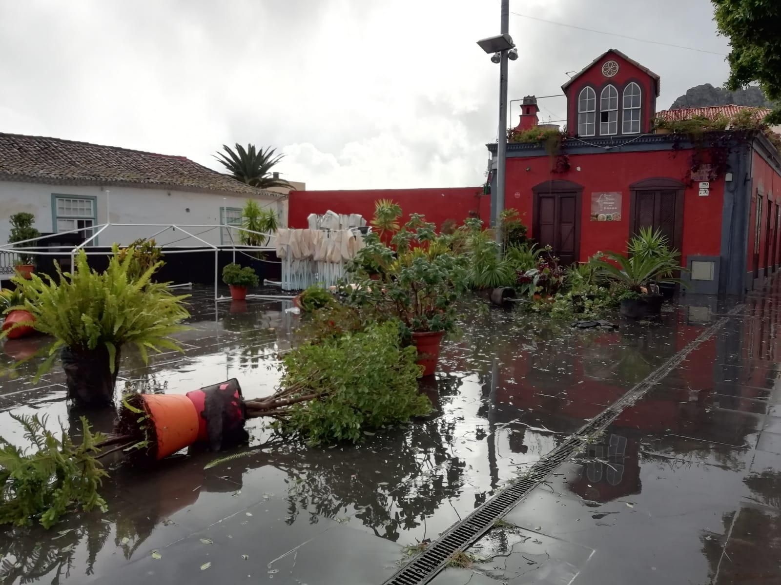 Macetas  tumbadas por el viento en la Plaza de Santo Domingo  (Santa Cruz de La Palma), este jueves.