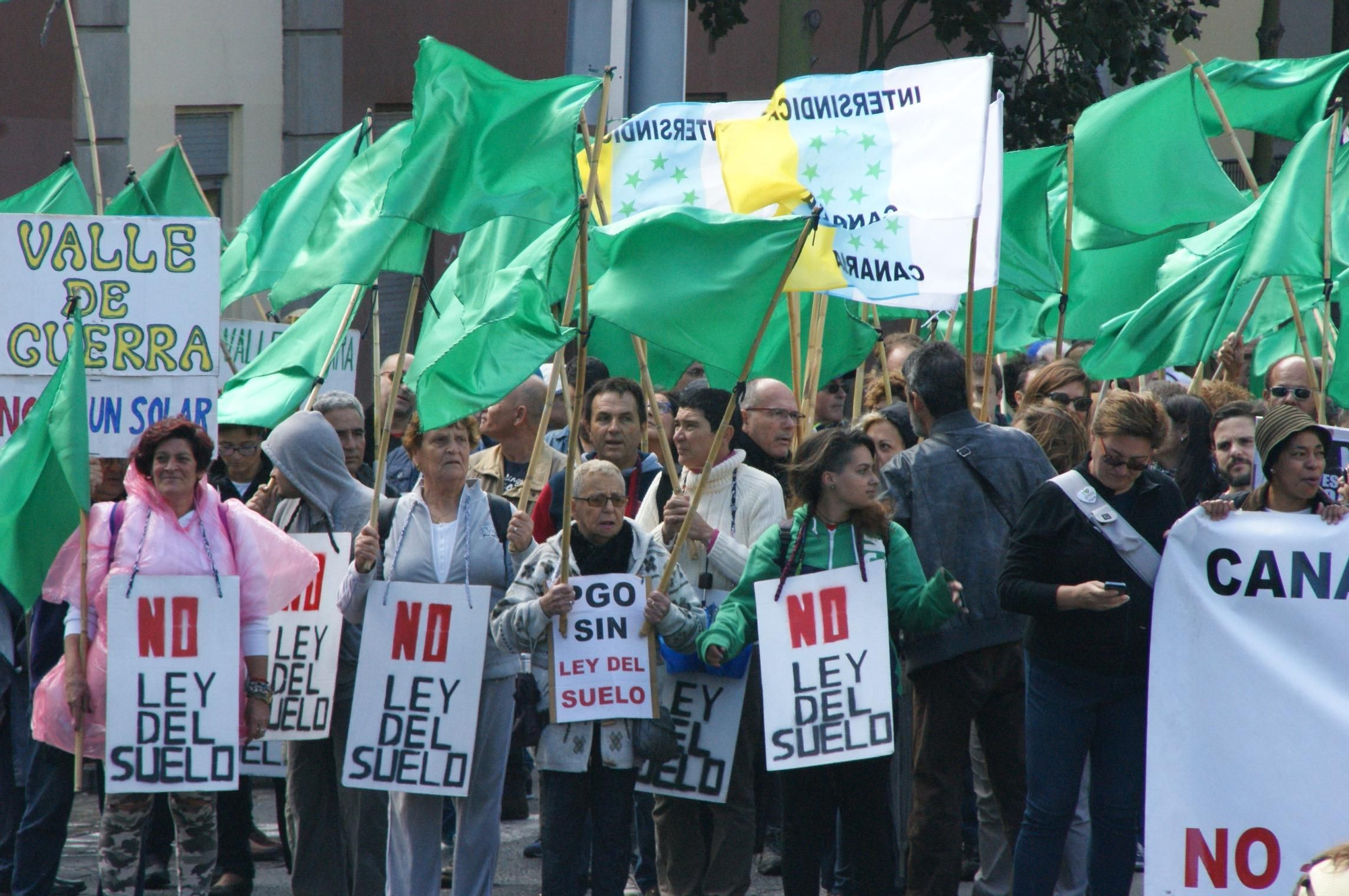 Banderas verdes y estrelladas, las más numerosas en la manifestación