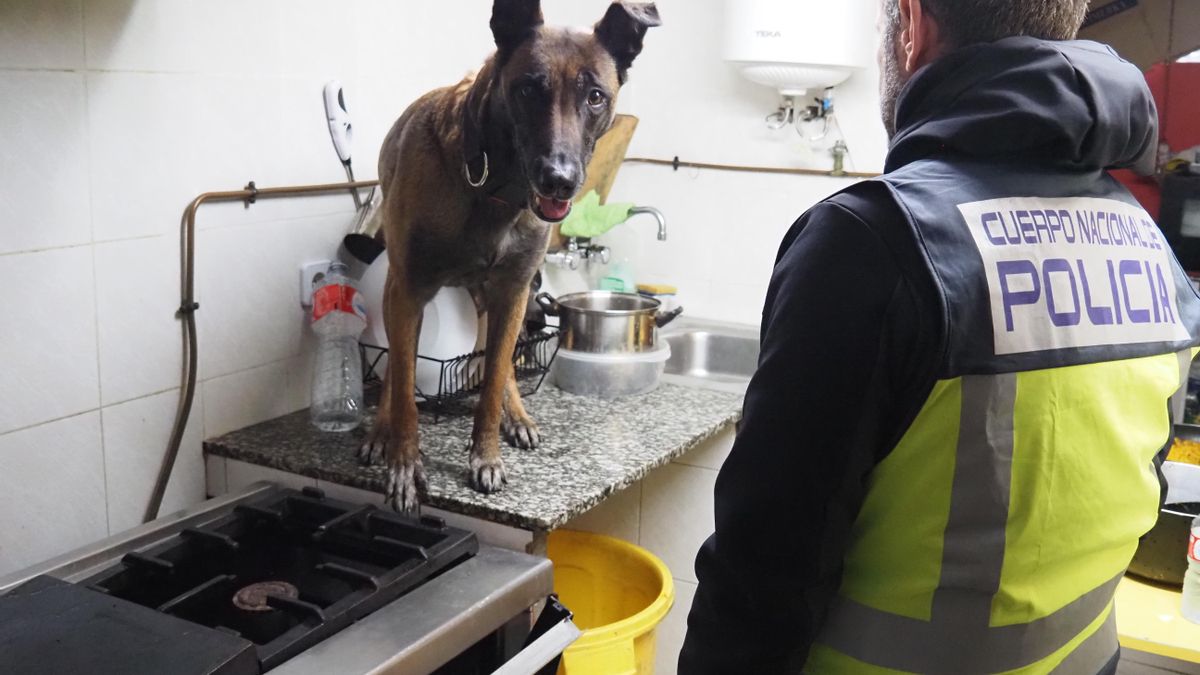 Liberan a una víctima de explotación sexual  y detienen a cinco personas en Asturias en una macrooperación policial