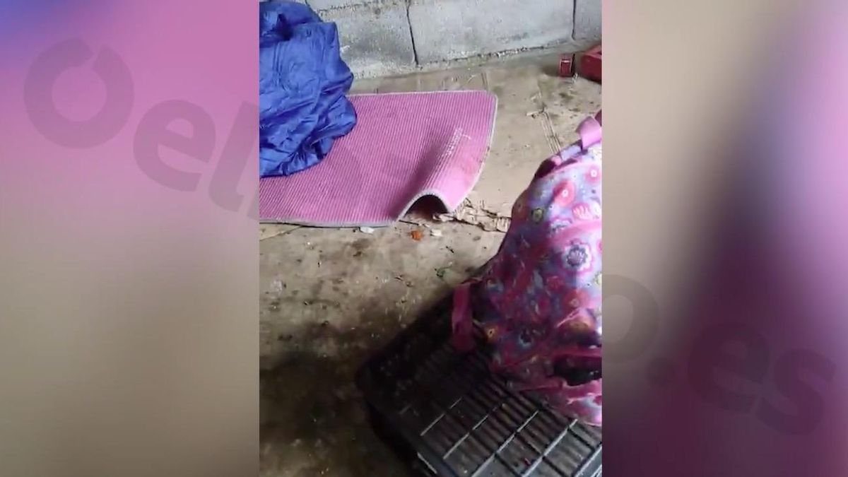 Acosadas, vejadas y comiendo en el suelo: la denuncia de cinco jornaleras de Almería contra dos empresarios