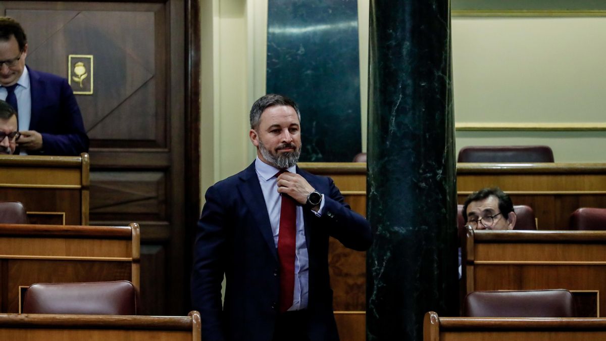El presidente de Vox, Santiago Abascal, durante una sesión plenaria en el Congreso de los Diputados
