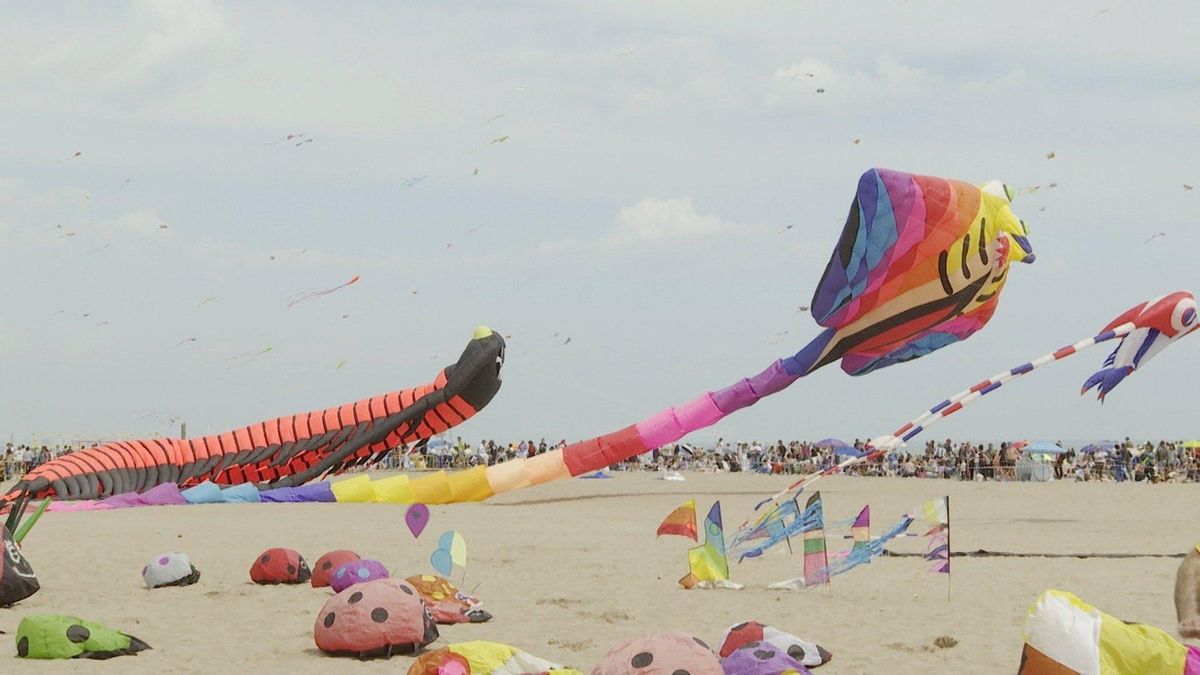Algunas de las cometas que han participado. EUROPA PRESS TV