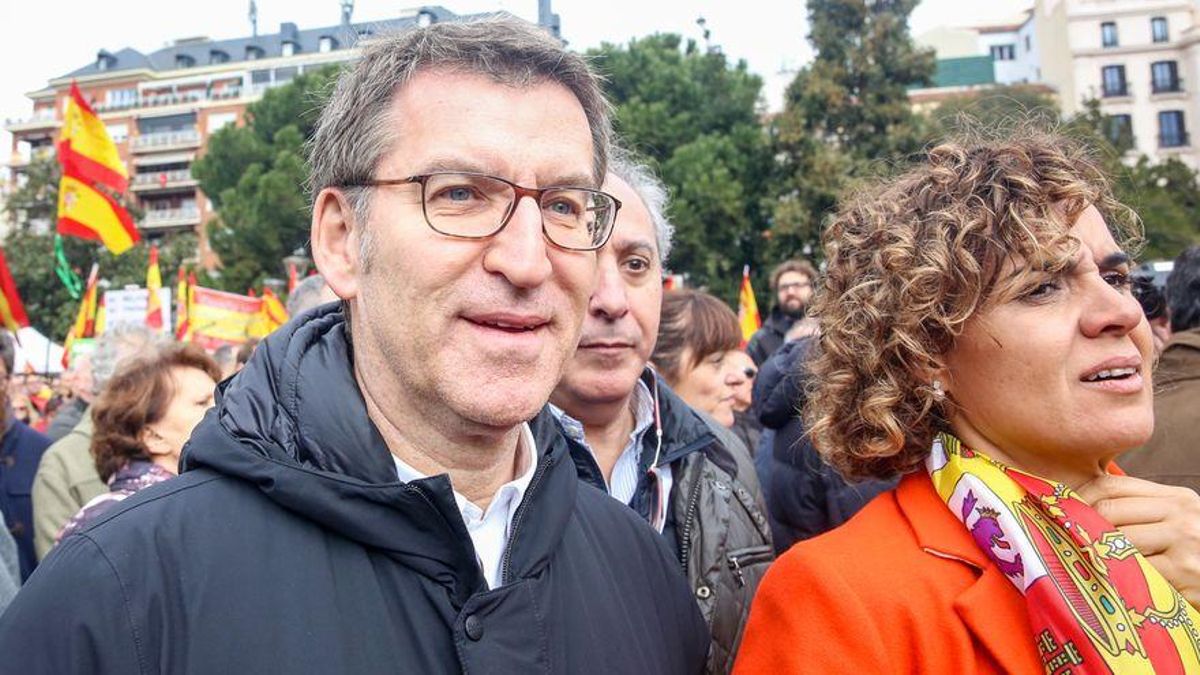 El presidente de la Xunta de Galicia, Alberto Núñez Feijóo, en una manifestación del PP junto a Ciudadanos y Vox en Madrid.