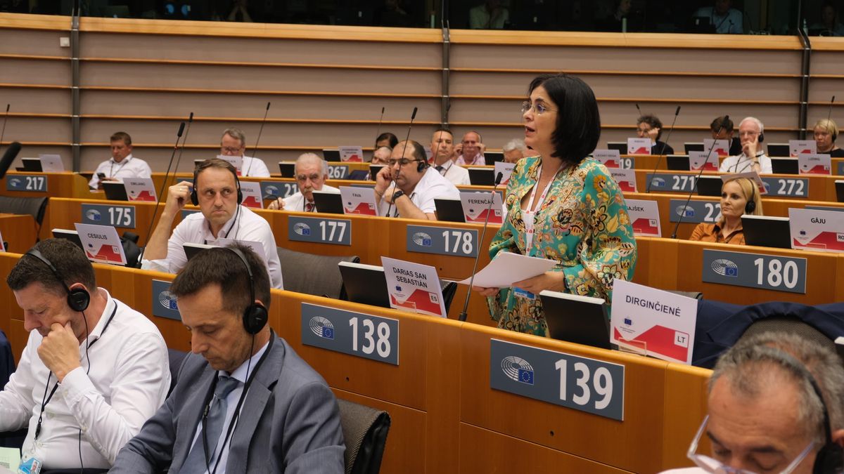 La alcaldesa de Las Palmas de Gran Canaria, Carolina Darias, ha intervenido este miércoles en el 167º pleno del Comité Europeo de las Regiones (CDR).