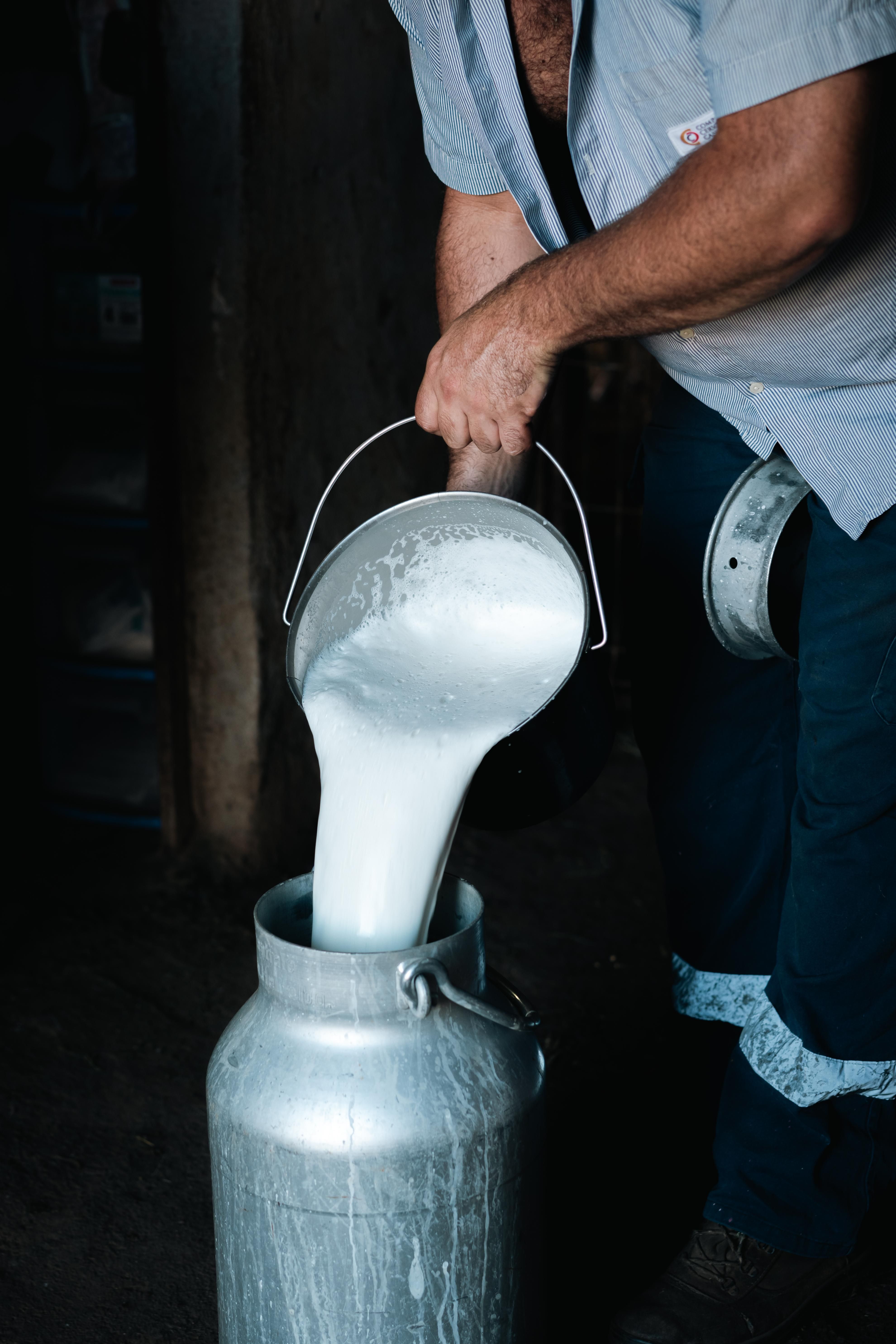 'El manantial blanco'.