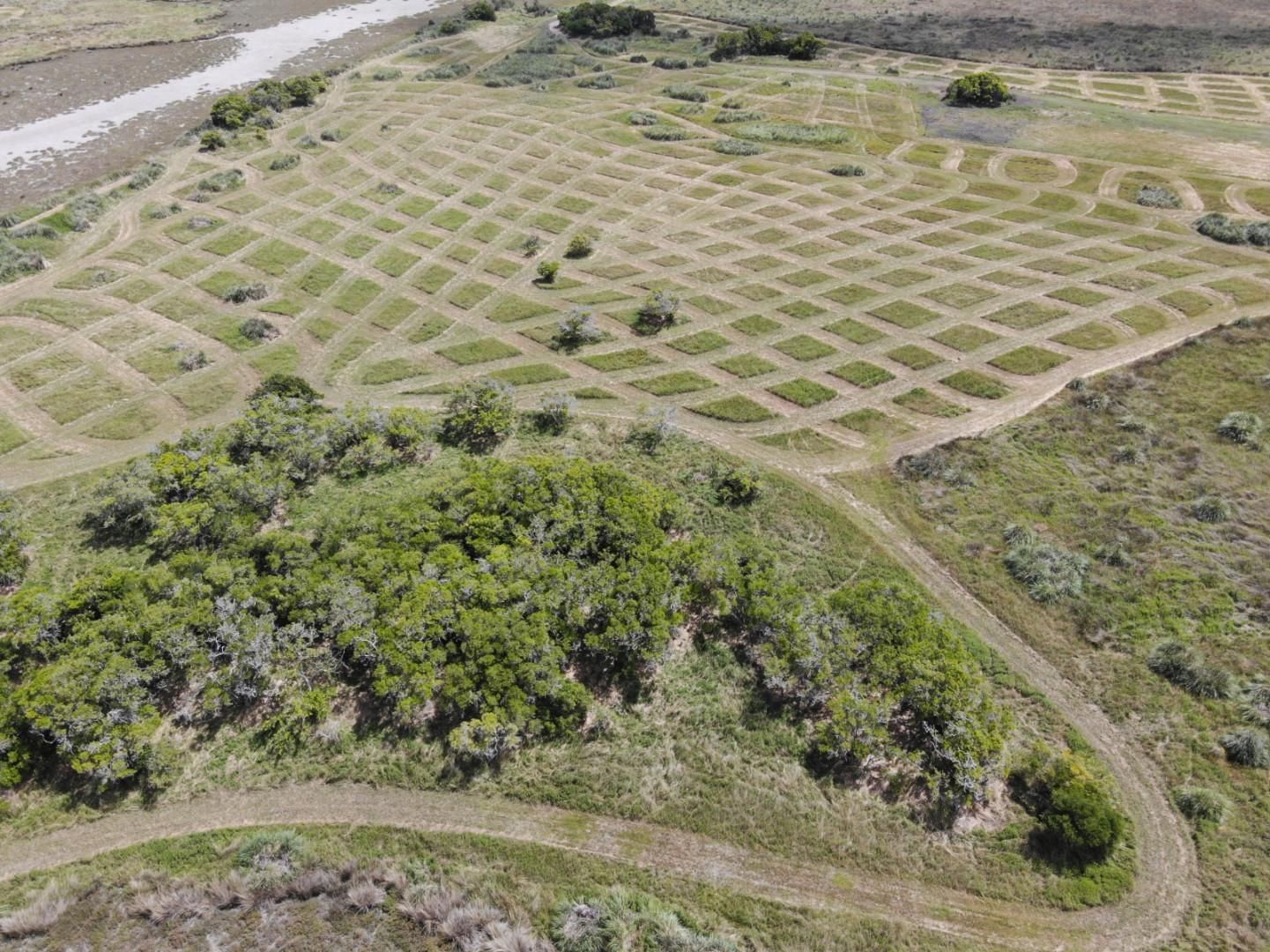 El modelo industrial de agroindustria es una de las amenazas que enfrentan los pastizales naturales en Latinoamérica. Foto: cortesía Parques Nacionales Argentina