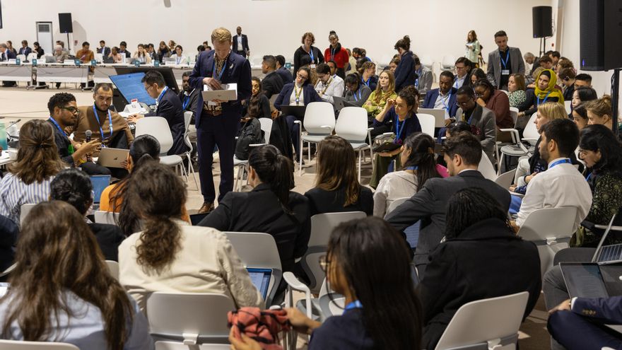 Las negociaciones climáticas (también) van de dinero y ese es el peligro para esta COP29