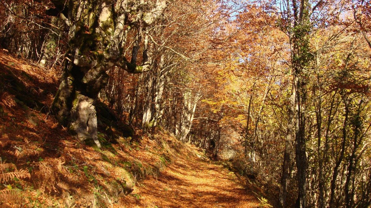 Valderredible denuncia la "inviabilidad jurídica" del proyecto eólico Anjana por su afección al Monte Hijedo