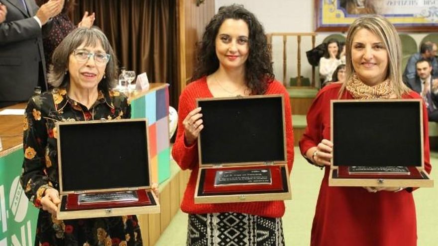 Reconocimiento al colegio de La Palomera, al instituto Eras de Renueva y Alfaem.