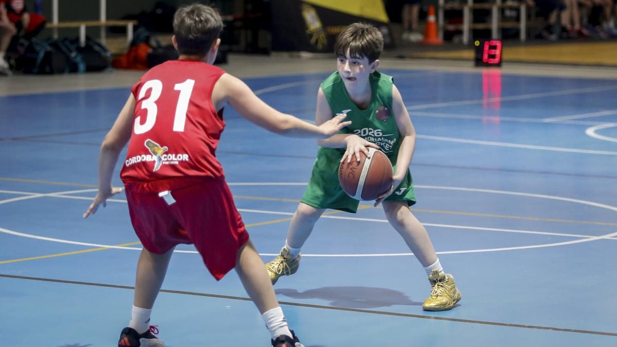 Memorial Rafael Rojano de Minibasket
