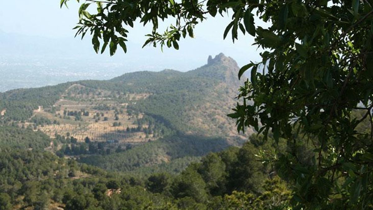 El Parque Regional de El Valle y Carrascoy