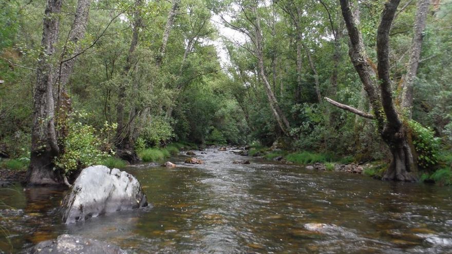 Proyectan una megacentral hidráulica en la despoblada comarca de Cabrera al lado de un Patrimonio Mundial