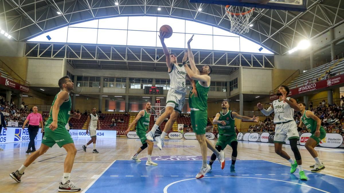 Las imágenes del Coto Córdoba CB - Toledo Basket