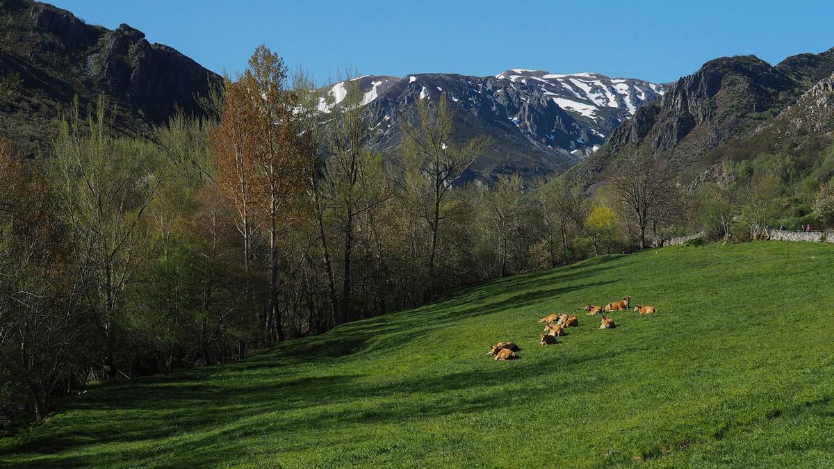 Un par de días en Babia. Un paseo por los cotos de caza de la realeza leonesa