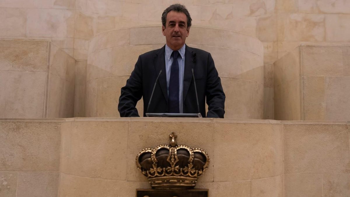 El consejero de Industria, Francisco Martín, en el Parlamento.