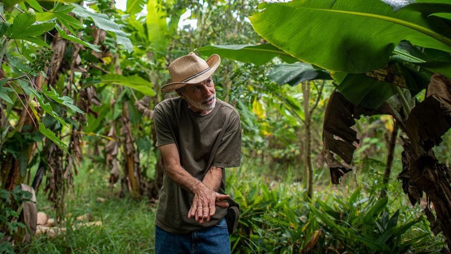 Brasil impulsa la recuperación de tierras degradadas