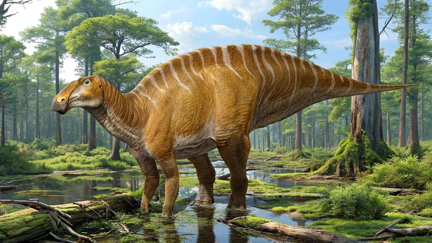 Así descubrieron que un fósil de 1916 ocultaba un dinosaurio gigante de pico de pato