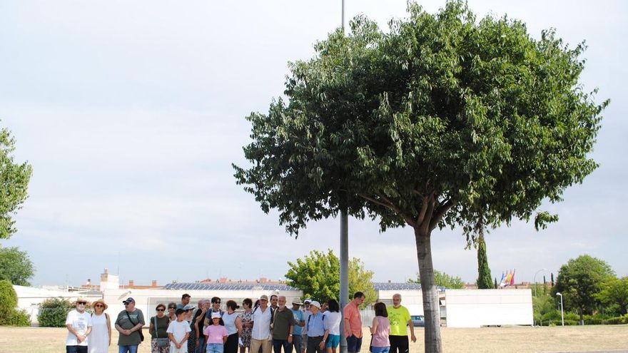 Árboles para refrigerar las ciudades o el optimismo para que los gestores sean "cada vez más sensibles"