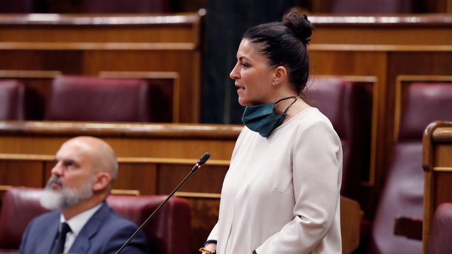 Olona (Vox) cree que Iglesias ha impuesto su "régimen totalitario" en el Gobierno al aprobar el Ingreso Mínimo Vital