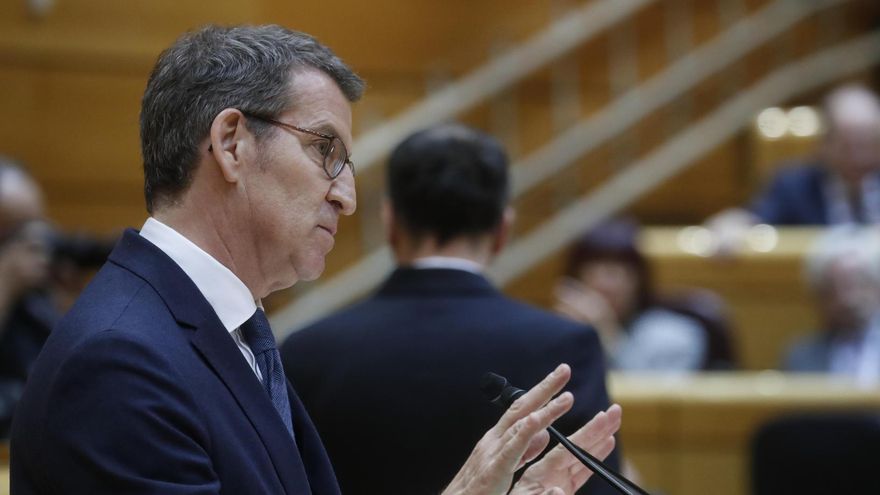 El líder del PP, Alberto Núñez Feijóo, interviene en el pleno del Senado, este martes en Madrid.