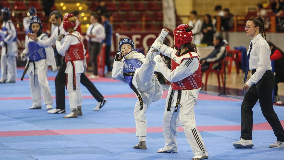 Open internacional de Andalucía de Taekwondo y Copa Iberdrola