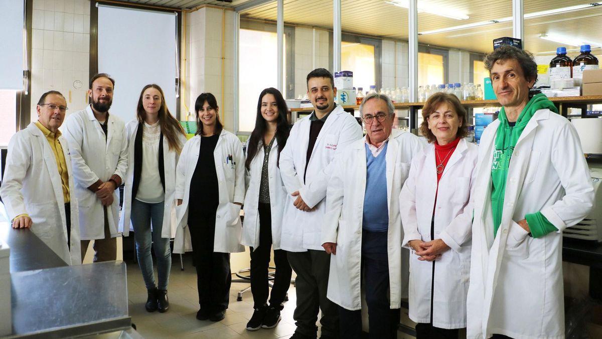 Investigadores de la ULE estudian si una infección digestiva causa la celiaquía y proponen tratamientos alternativos
