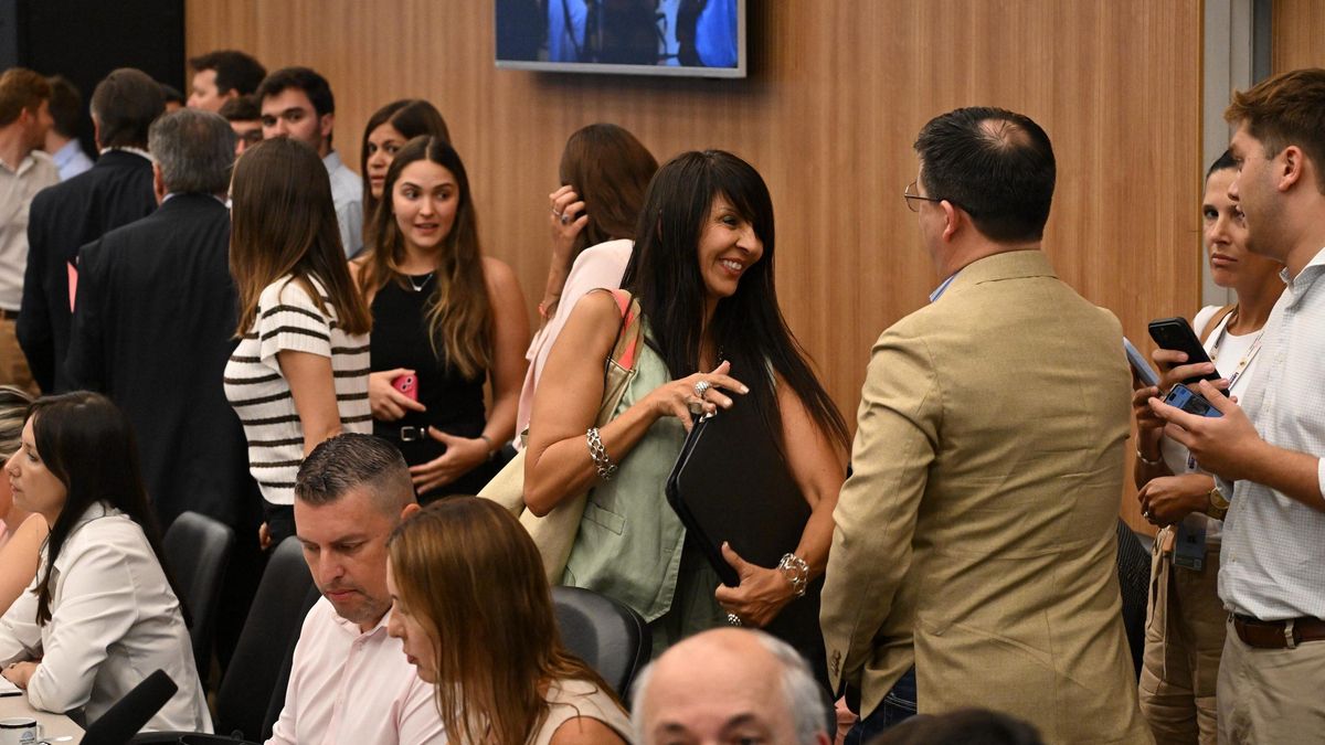 La rionegrina Lorena Villaverde, que no pudo asumir como senadores por las denuncias en su contra, participó del plenario de comisiones