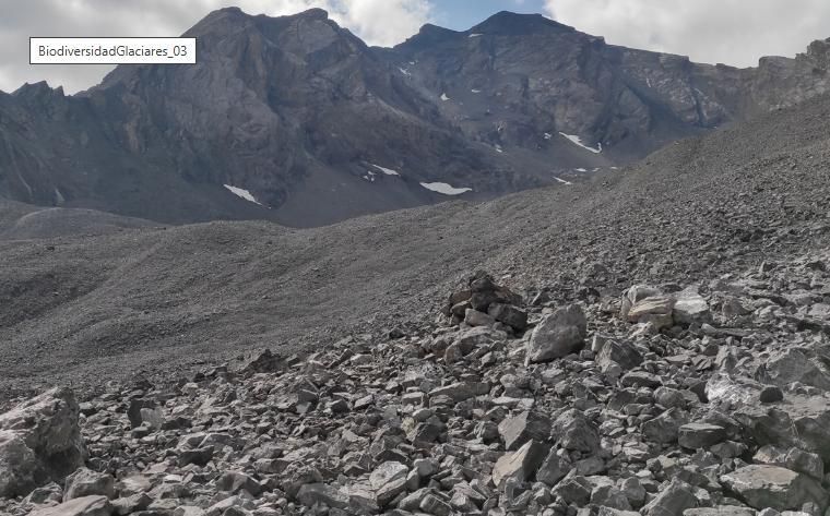 Glaciar rocoso en los Alpes suizos