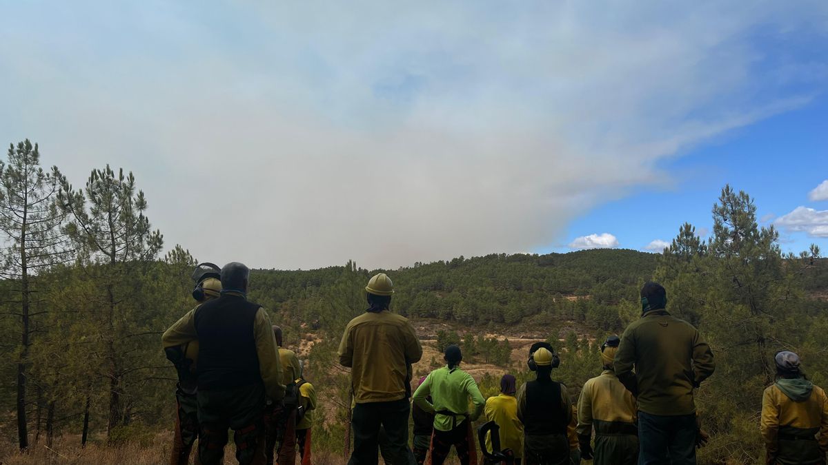 Trabajadores de los retenes de El Vado y Montes Claros miran, sin participar, el incendio de nivel 1 declarado en el parque natural de la Sierra Norte de Guadalajara