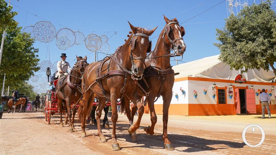 Pacma pide al Ayuntamiento que restrinja el paseo de caballos en la Feria por los avisos de altas temperaturas