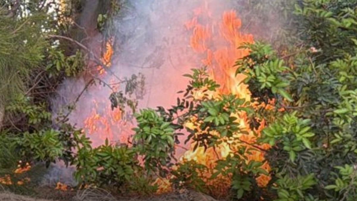 El Ayuntamiento de Pájara denuncia "graves" sabotajes: tres conatos de incendio y asalto a una estación de bombeo