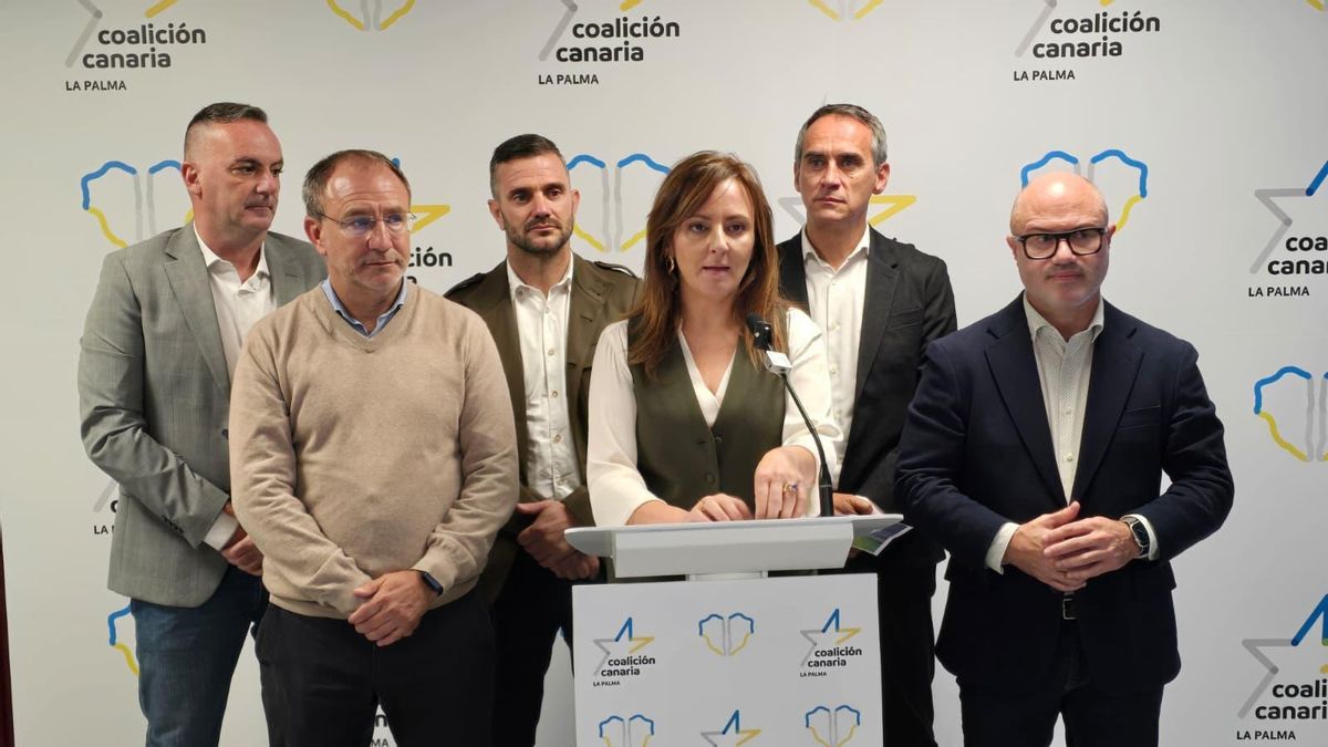 Nieves Lady Barreto: “Con este Real Decreto el Gobierno de España ha hecho la maleta y se ha marchado de La Palma”