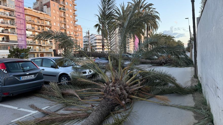 Un trabajador de una nave y un voluntario de Protección Civil, heridos críticos en Catalunya por causa del viento