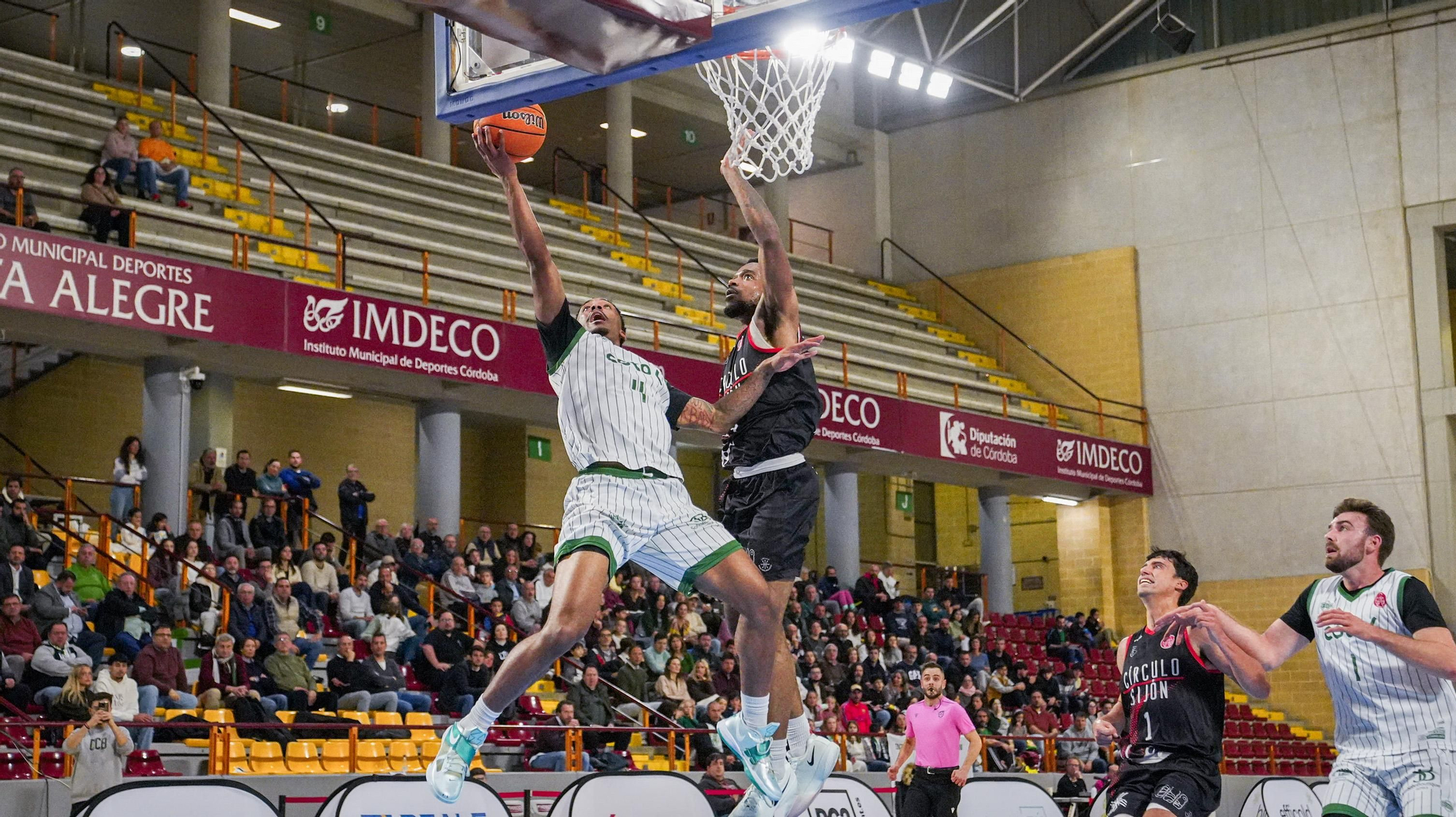 Coto Córdoba CB - Círculo Gijón Baloncesto