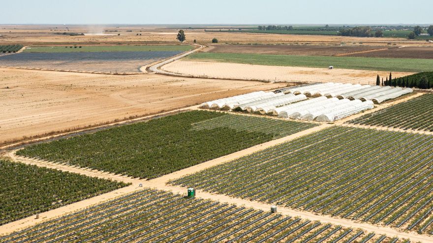 El PP enmienda su ley en Doñana para venderla como una protección al acuífero pese a mantener el indulto a los regadíos